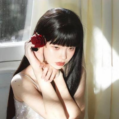 我的空姐女友